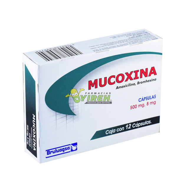 MUCOXINA    500MG/8MG 12 CAPS